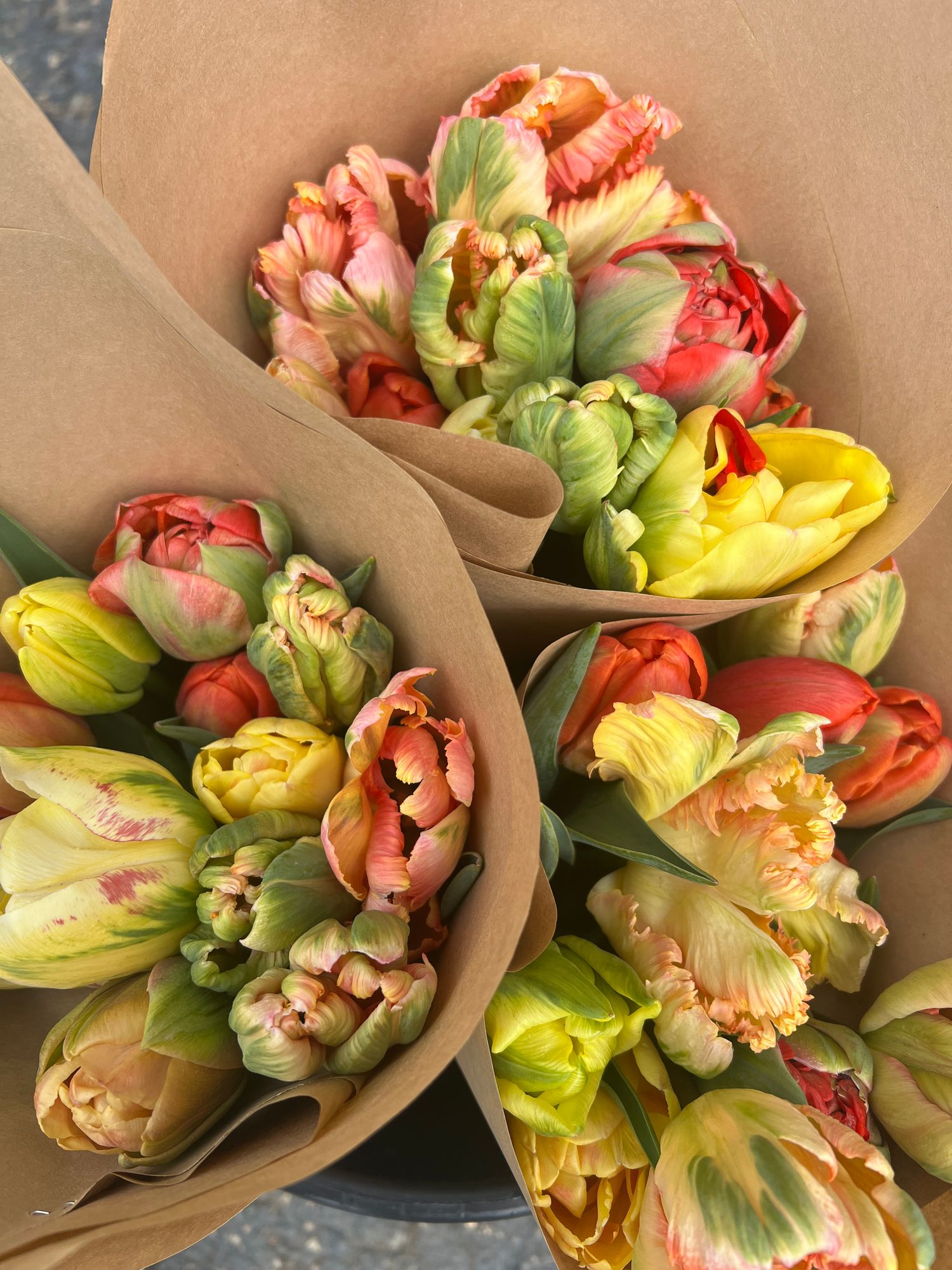 Tulip Mixed Bunch