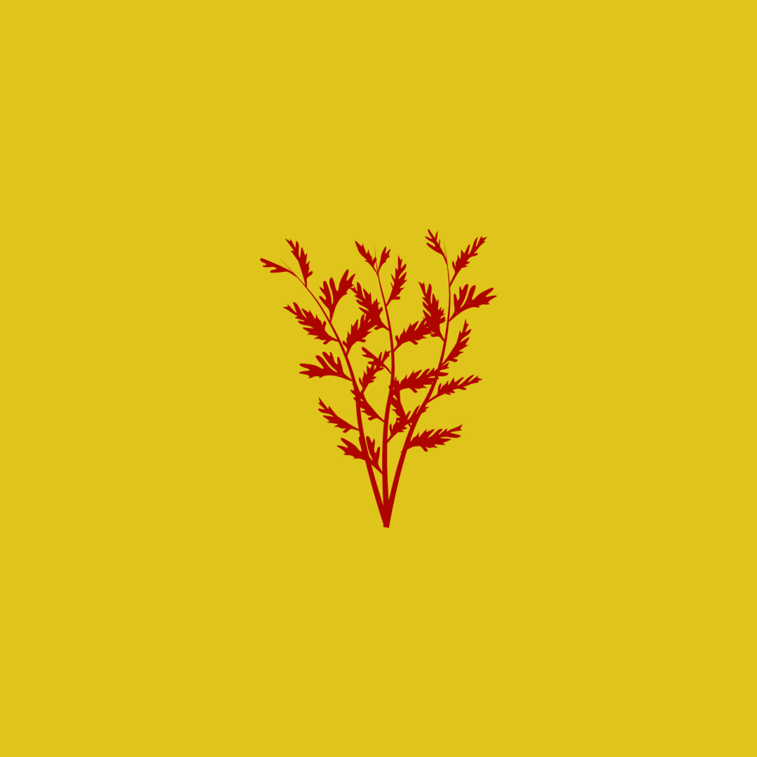 Big Bluestem Farm Logo