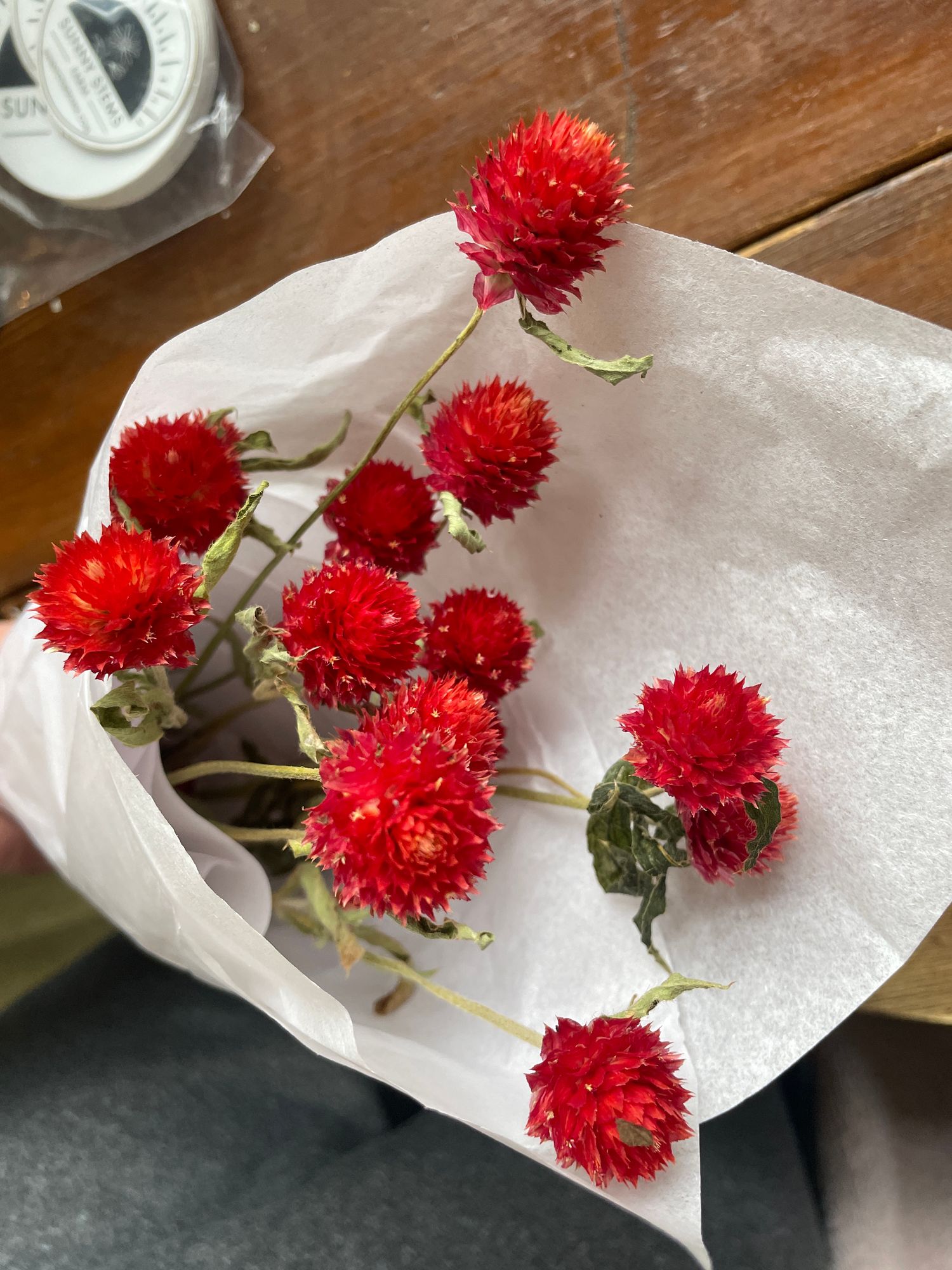 GOMPHRENA haageana Strawberry Fields