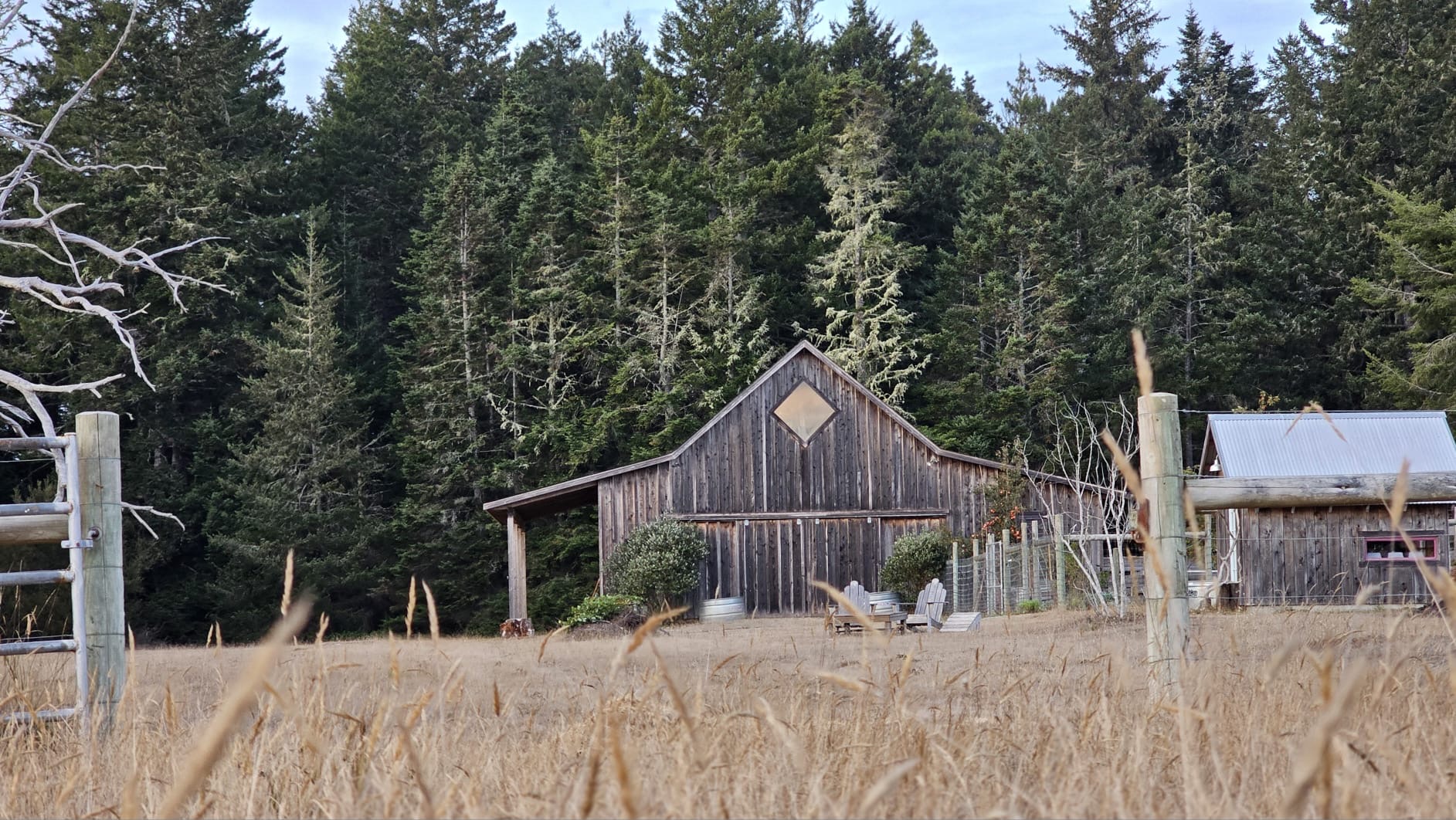 Fog Tongue Farm Banner