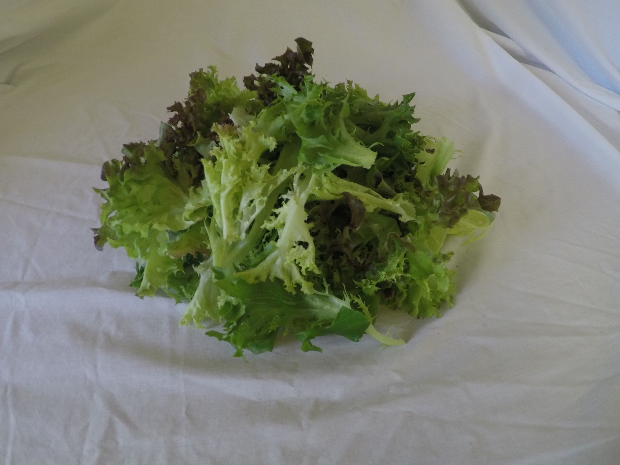 Greens: Lettuce, Salad Mix