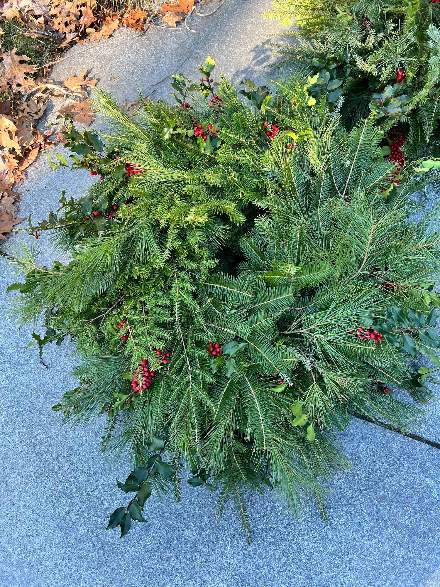 Flora.Culture Banner