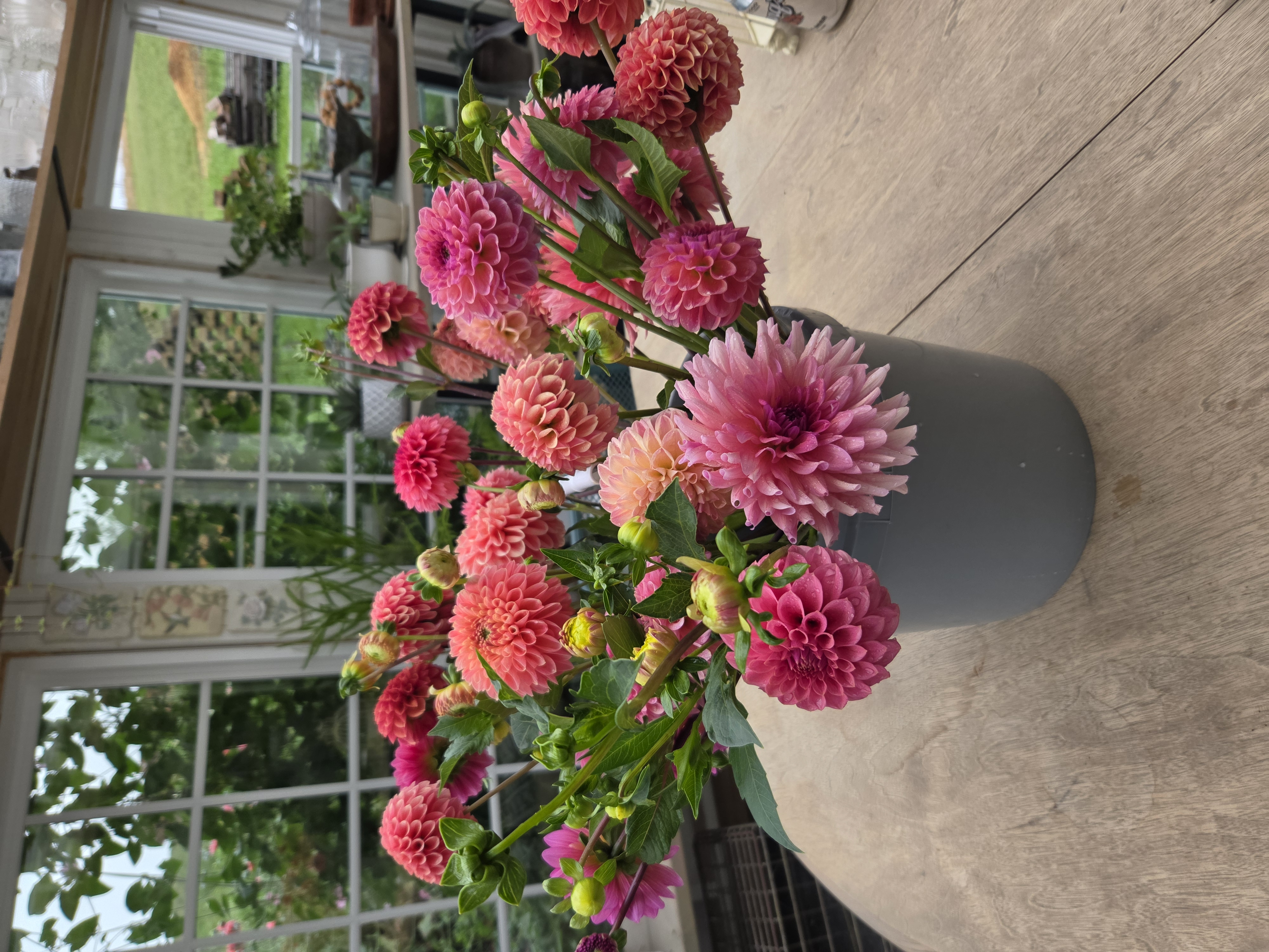 Mixed dahlia bucket