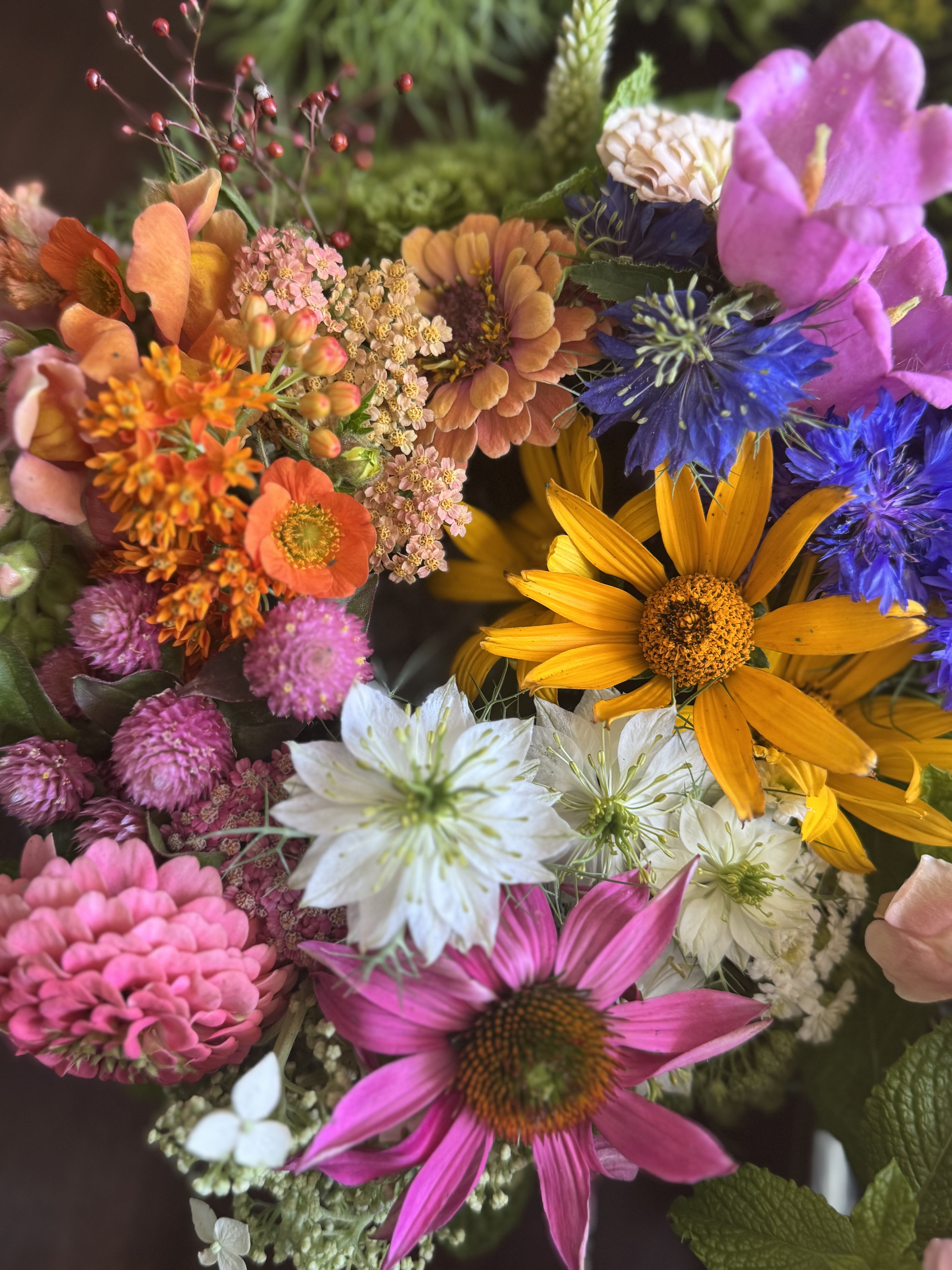 Local Stems Farm Banner