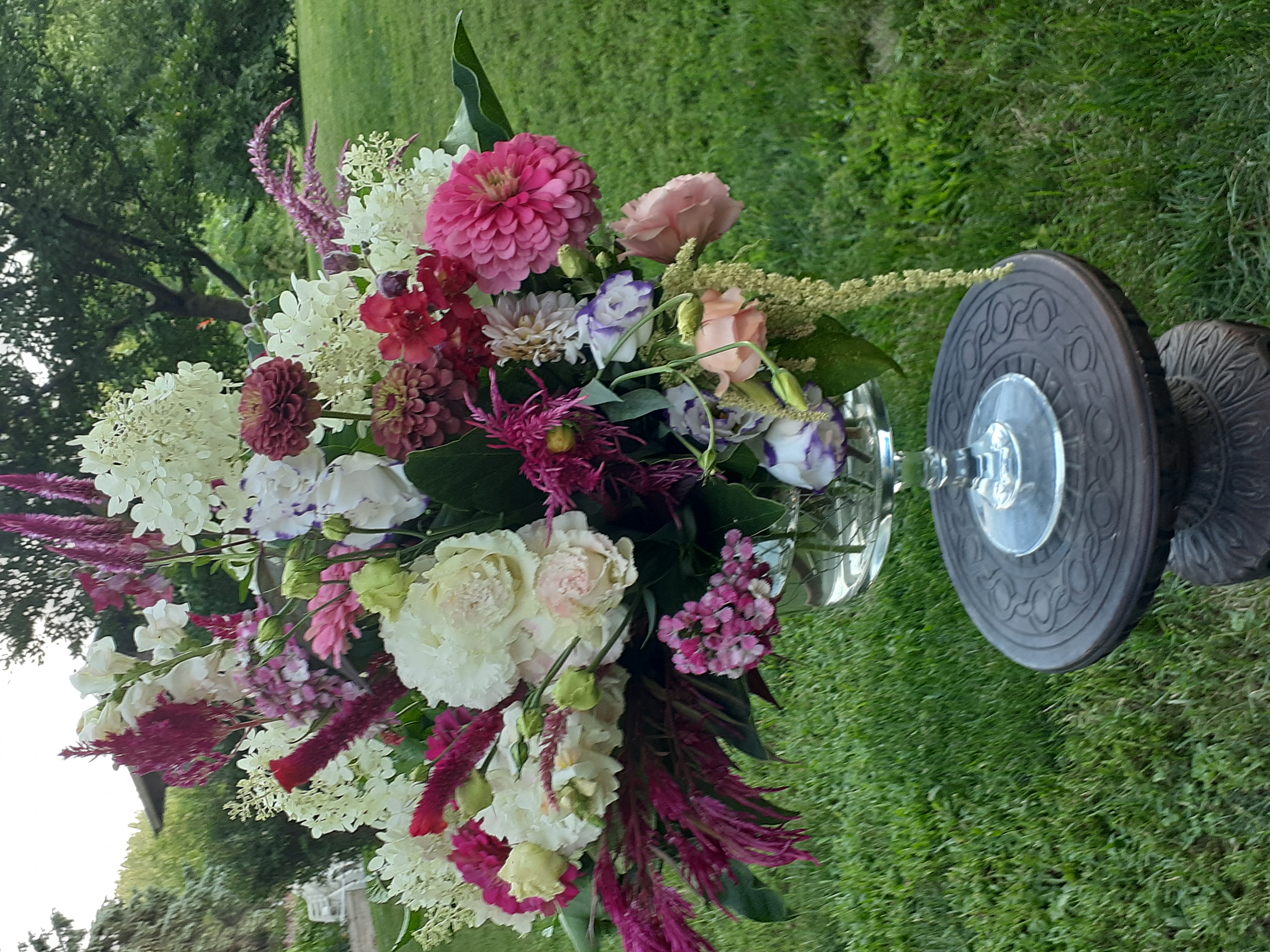 Dibble & Bloom Banner
