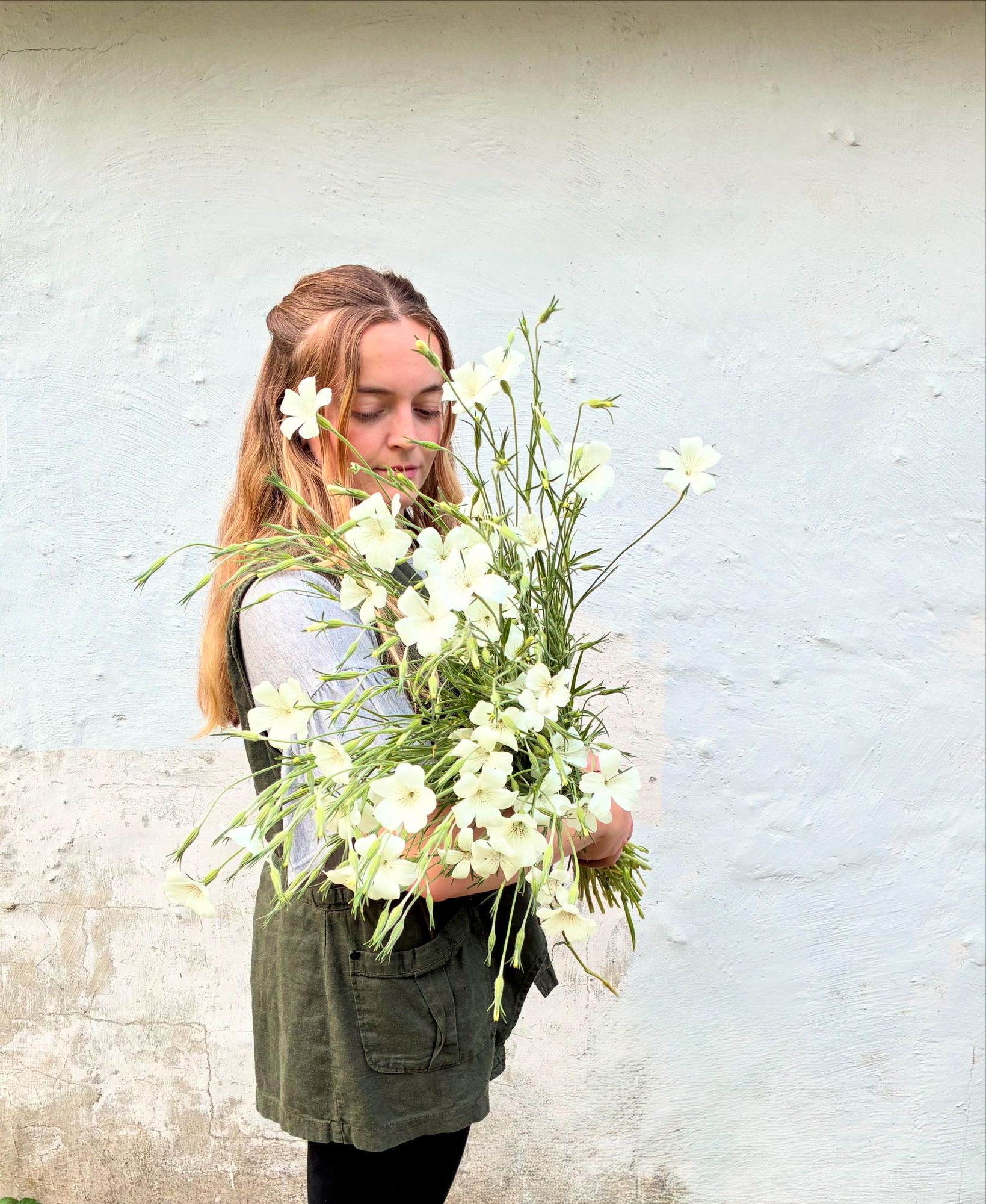 Buds and Botanicals Logo