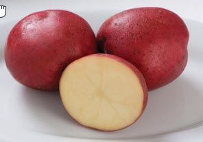 Root Vegetables: Potato, Red