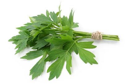 Herbs: Lovage