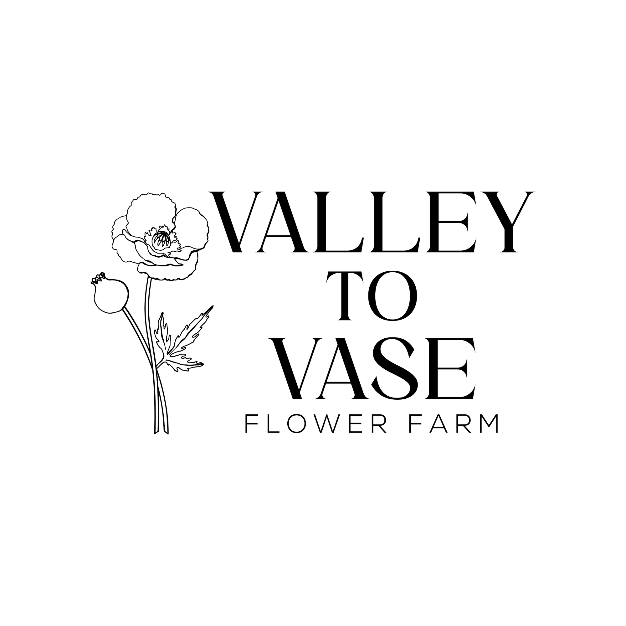 Valley to Vase, LLC Logo
