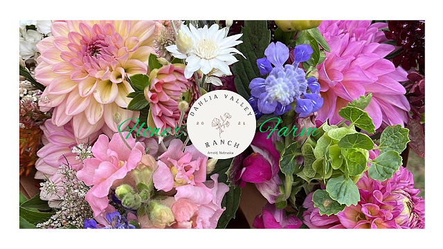Dahlia Valley Ranch Banner