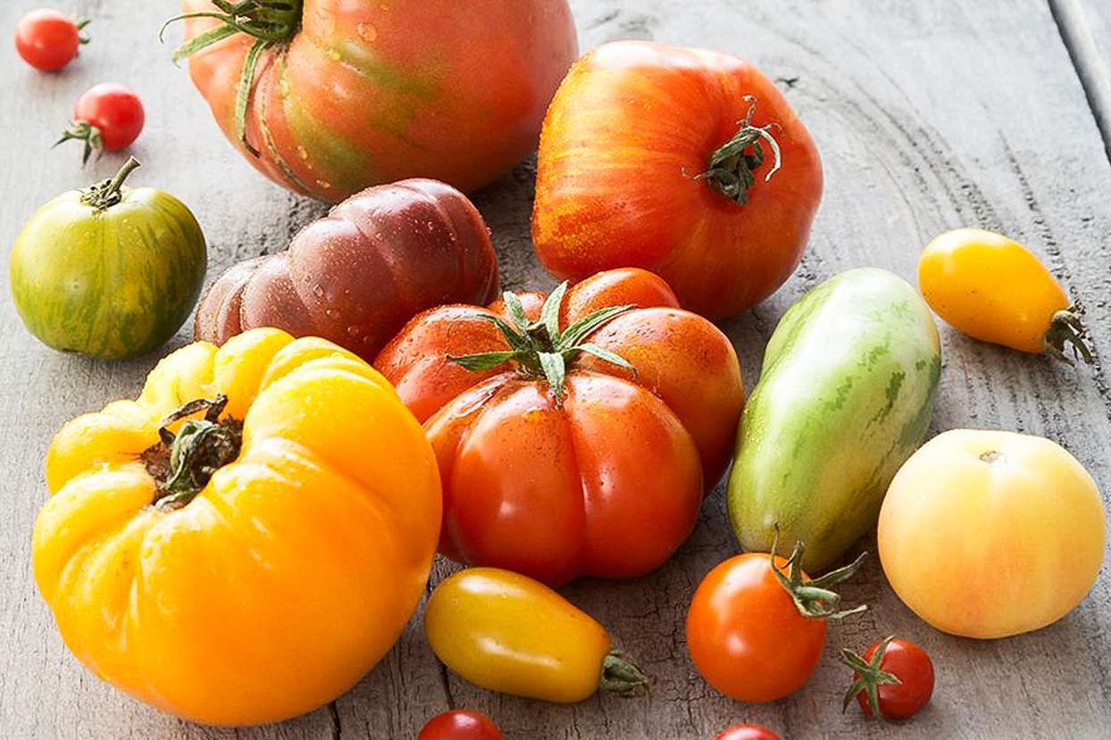 Nightshade: Tomato, Heirloom 10# Flat