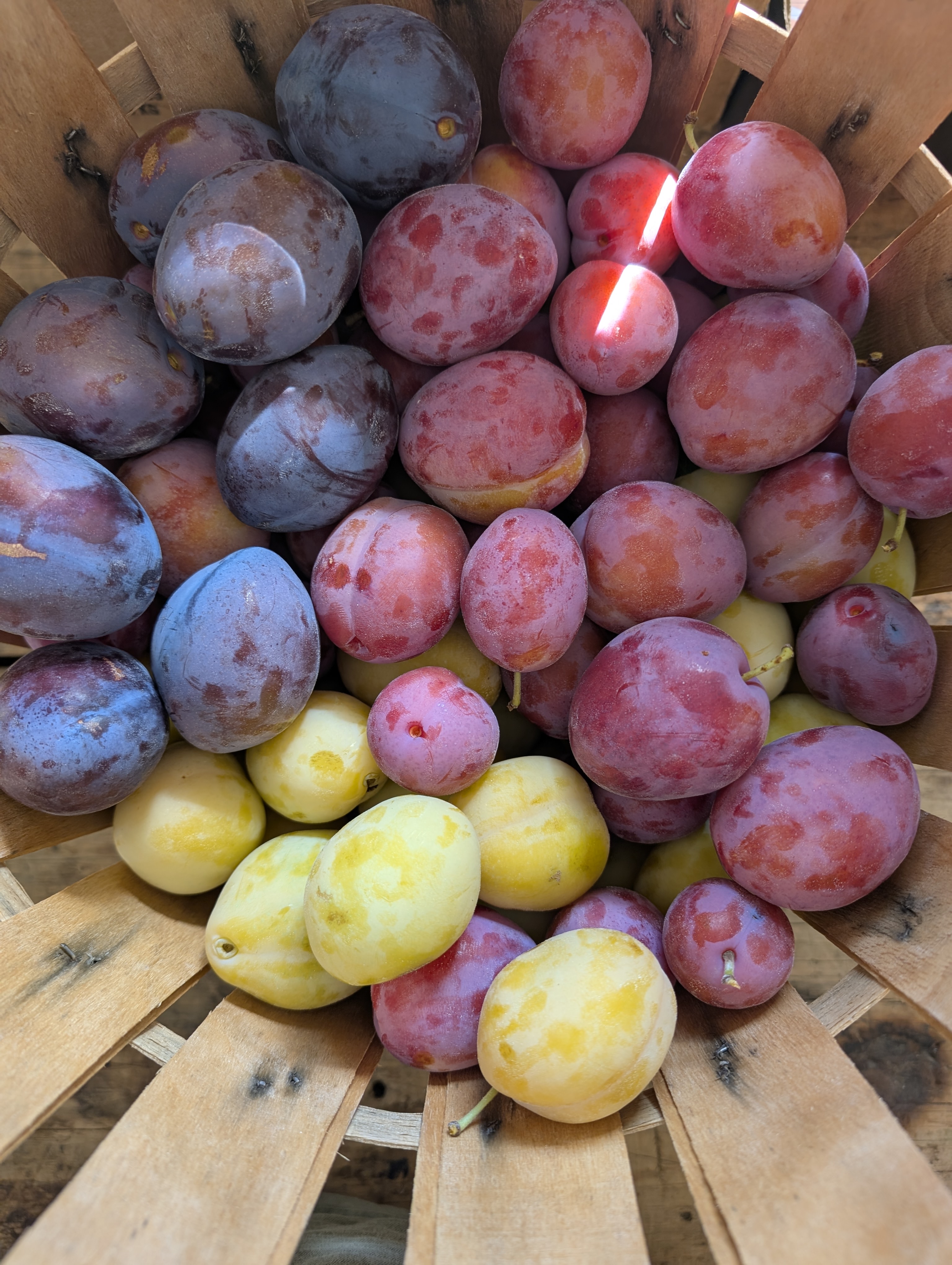 Plums