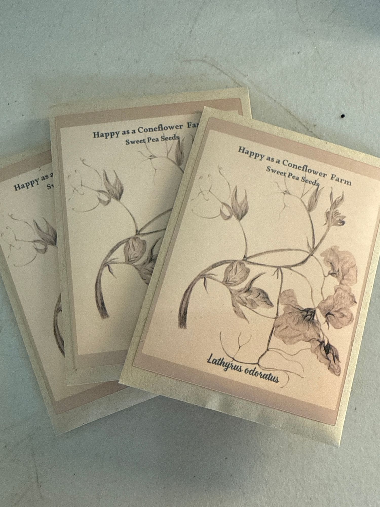 Sweet pea seed packet