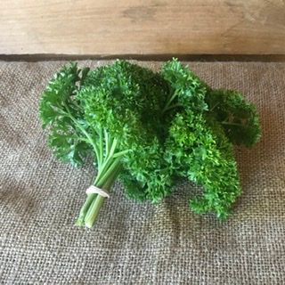 Herb, Parsley, Curly