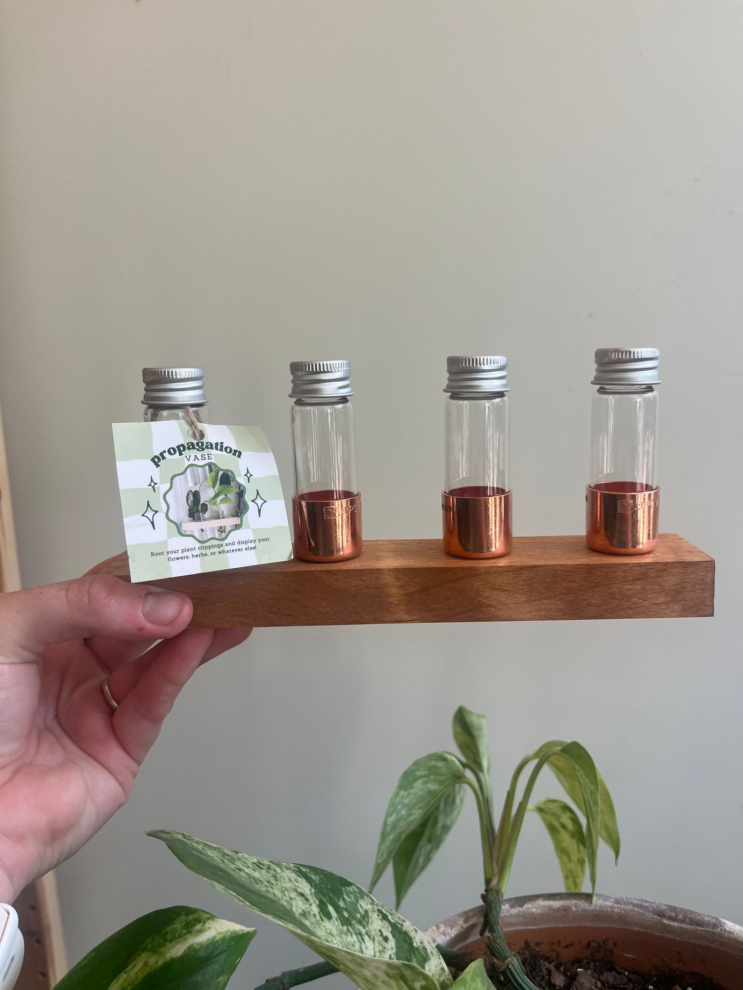 Propagation Station (Small)