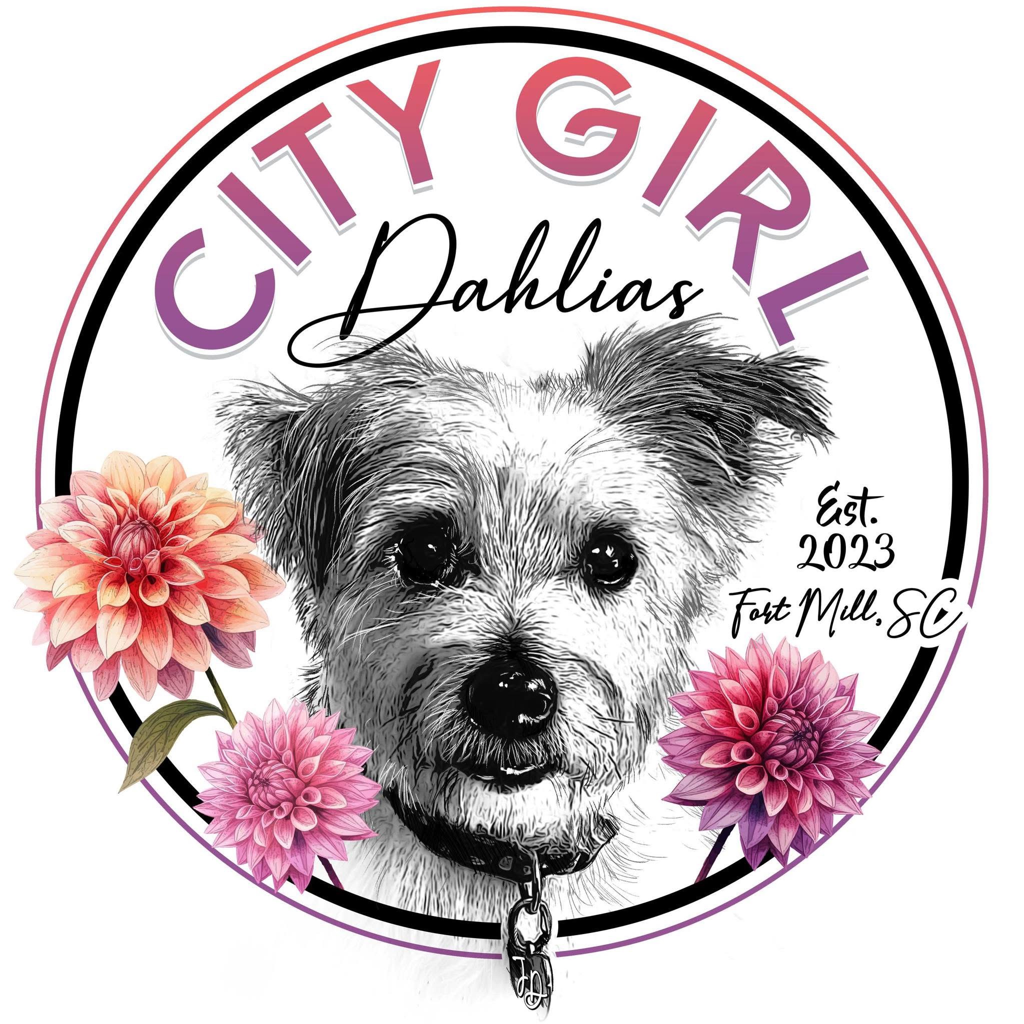 City Girl Dahlias Logo