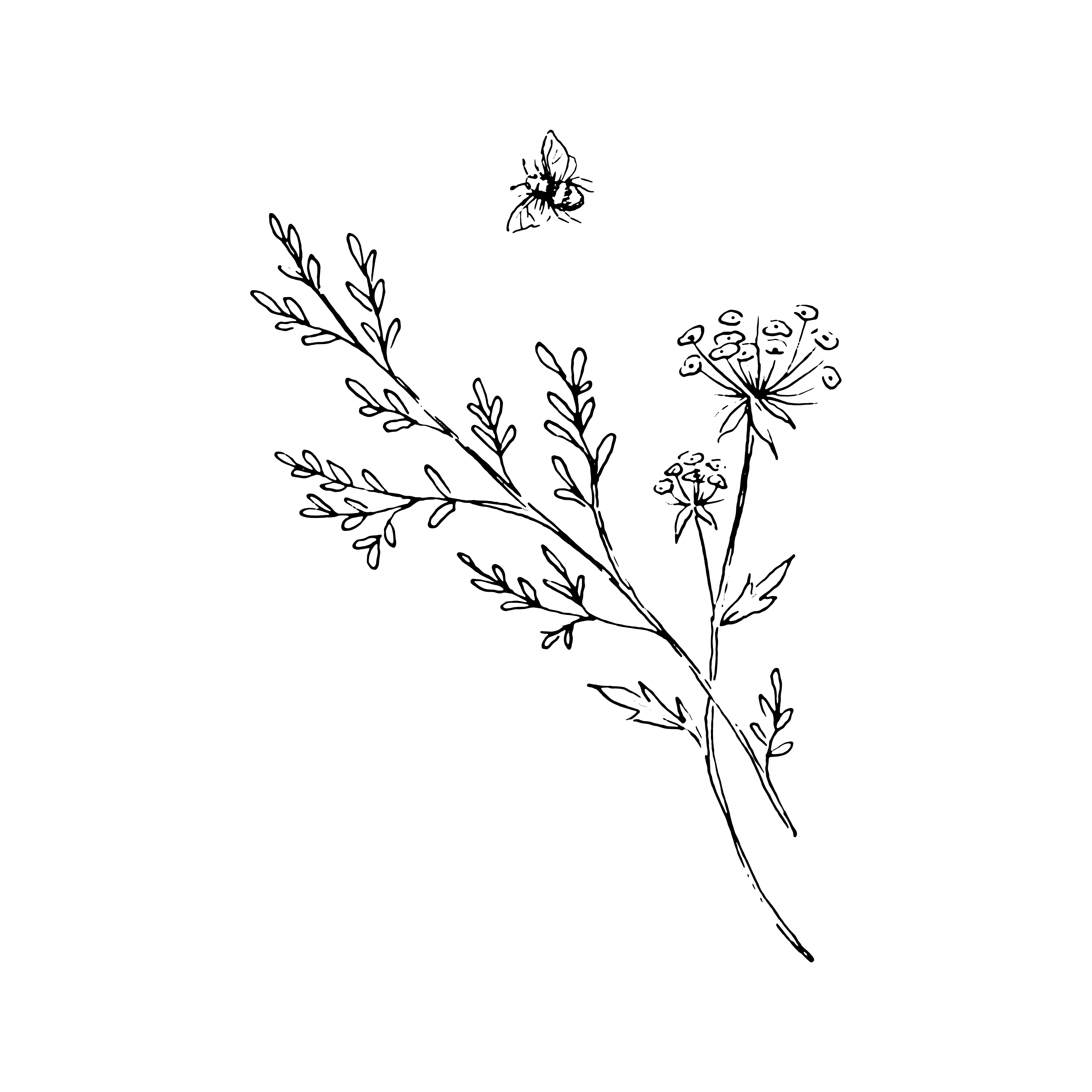Flatland Floral Collective Logo