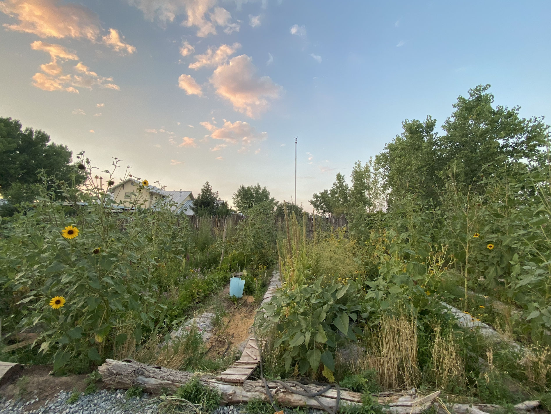 good dirt farm Banner