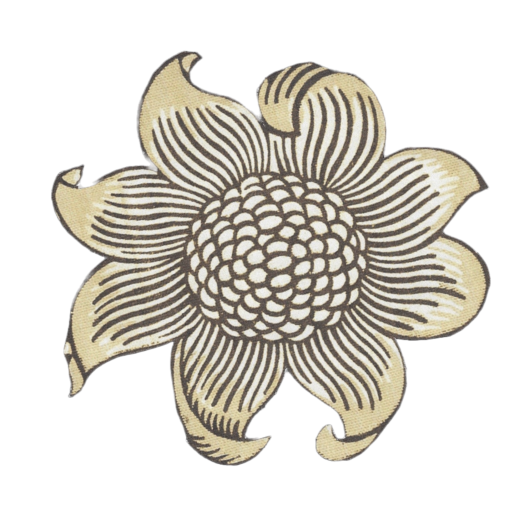 Pumpkin Hollow Farm LLC Logo