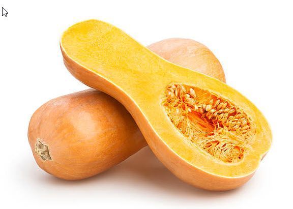 Cucurbit: Squash, Butternut