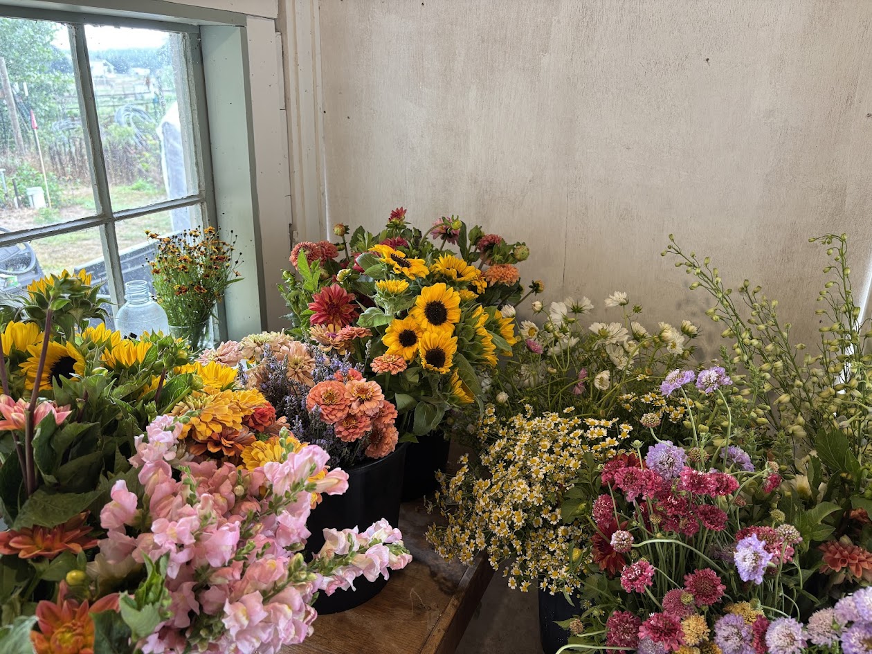 Summer Flower Bulk Bucket