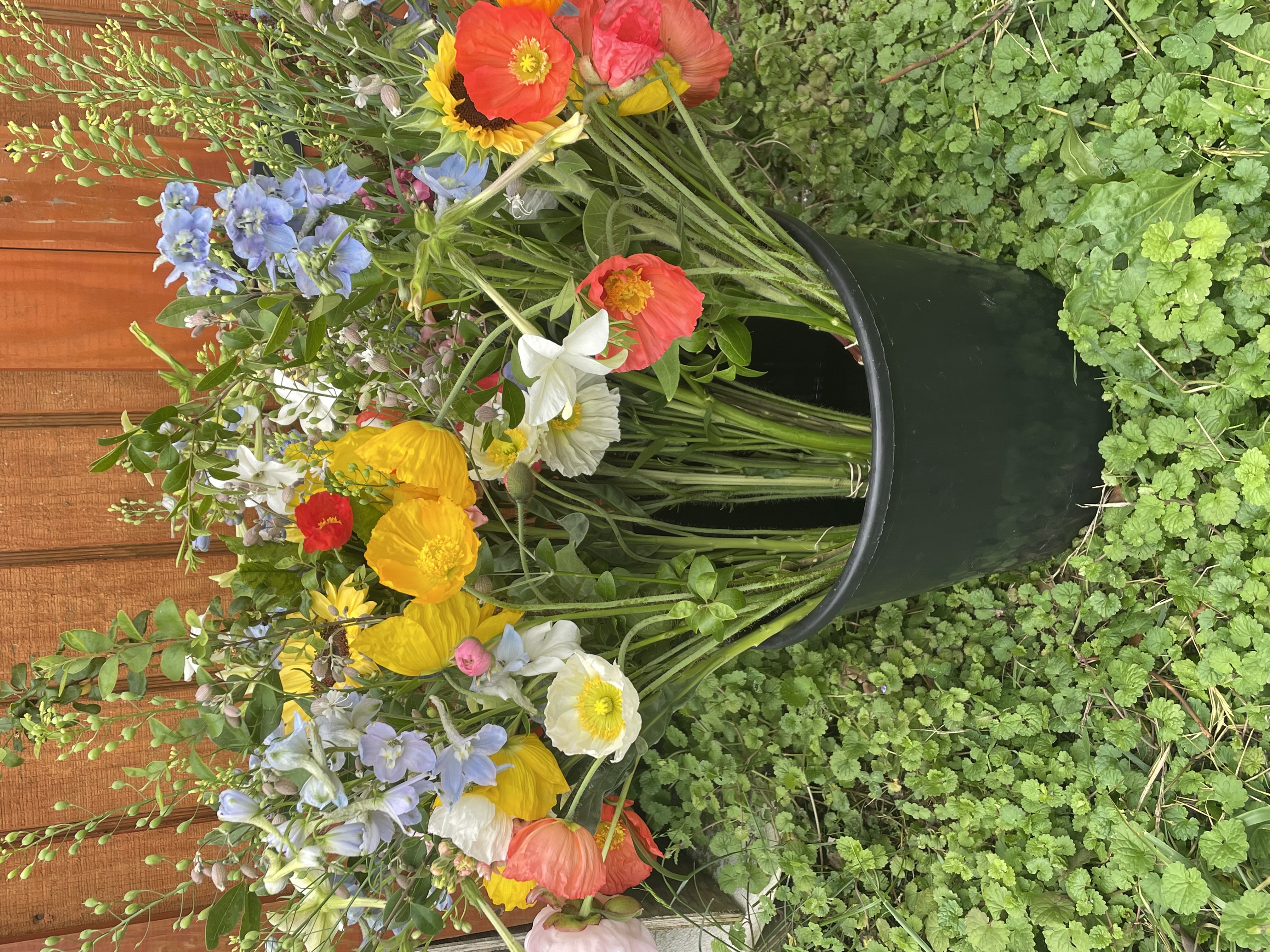 Mixed Floral Bucket