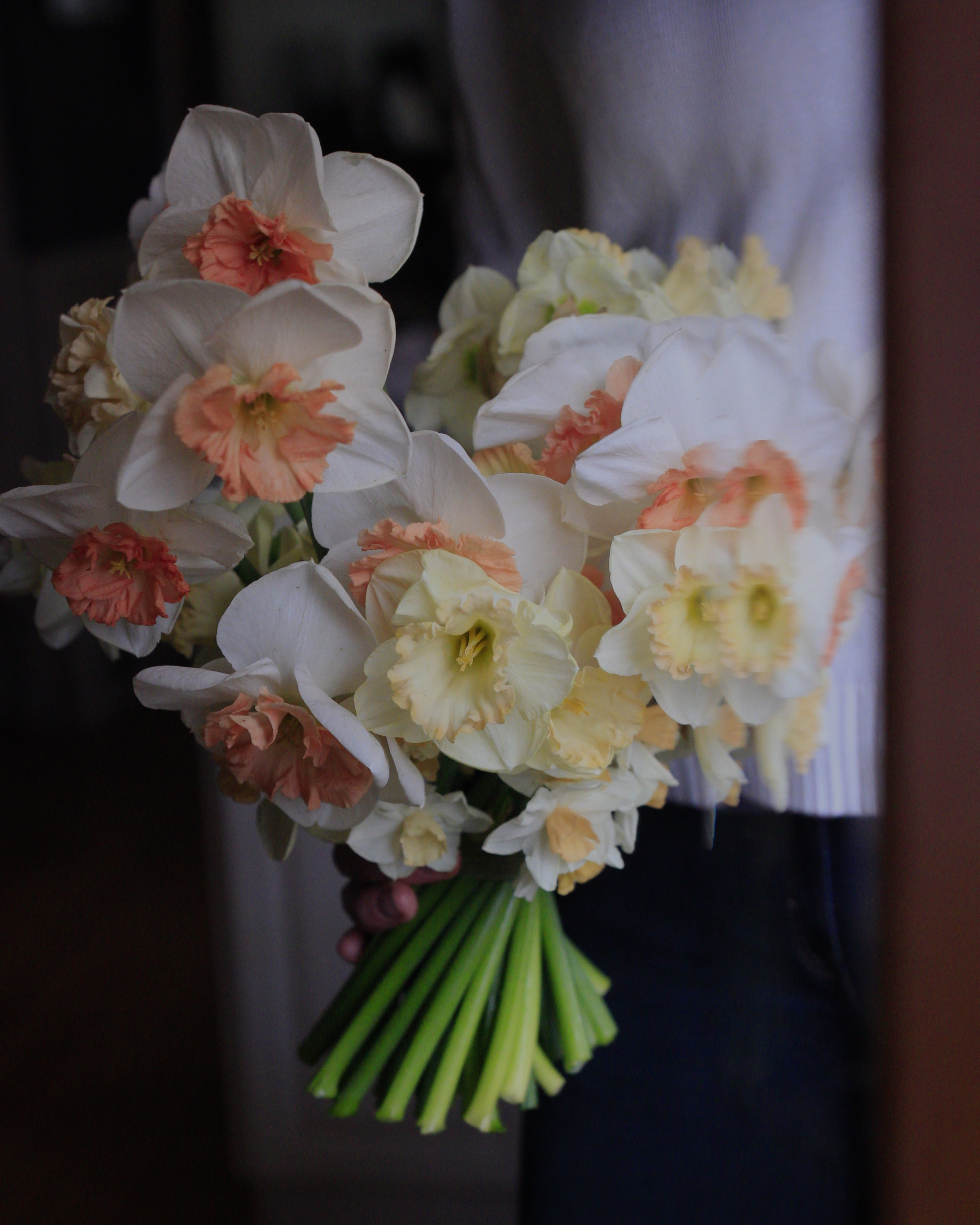 Clovergold Flower Farm Banner