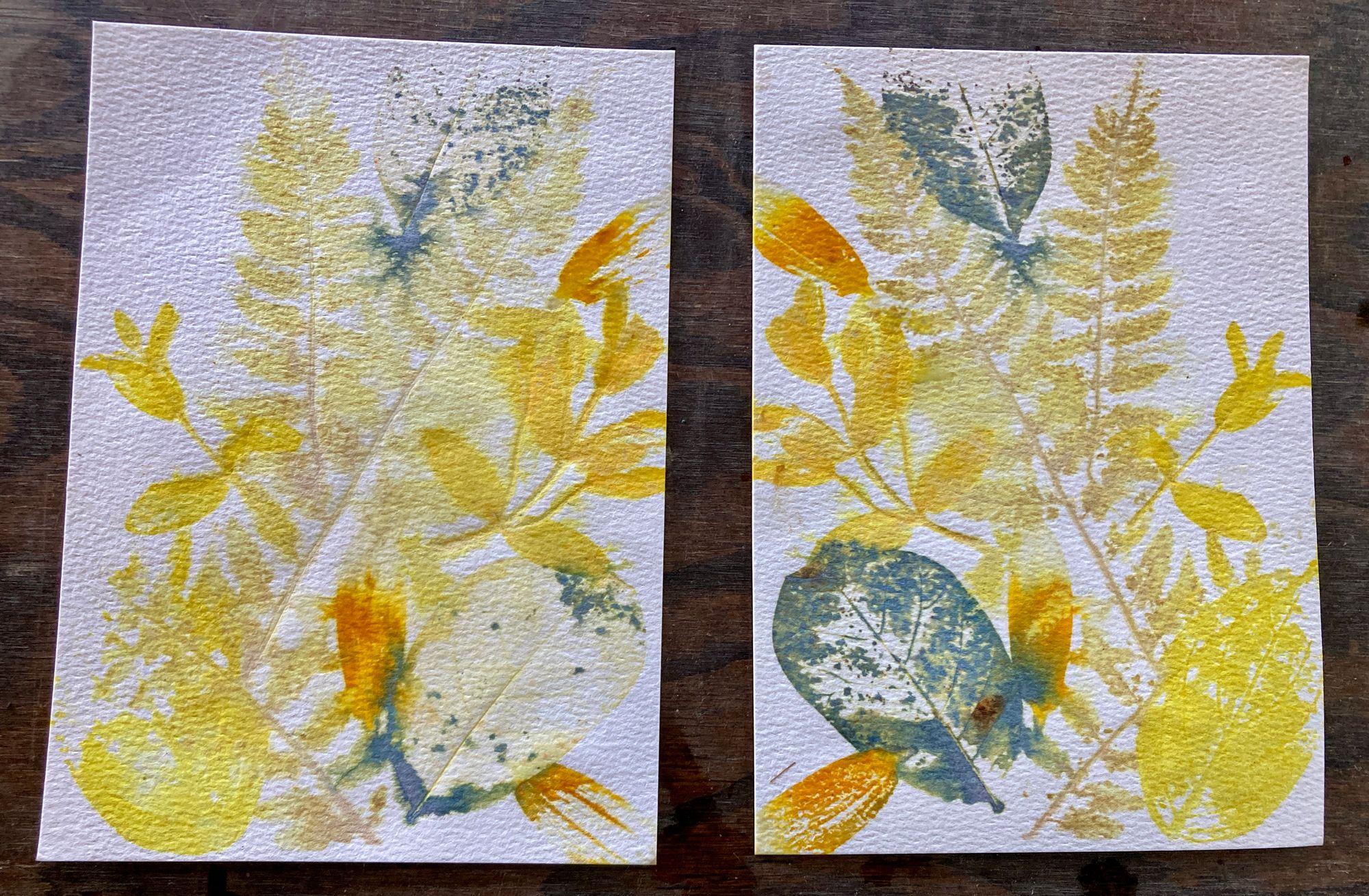 Eco-Printing Workshop July 30th