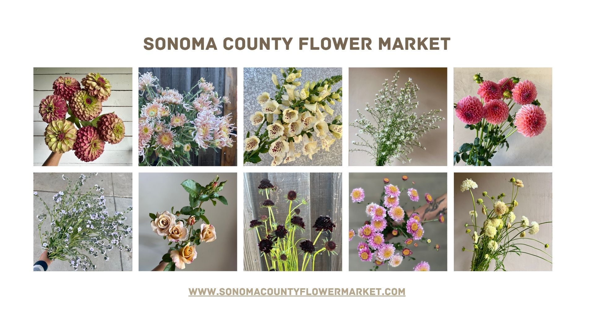 Sonoma County Flower Market Banner