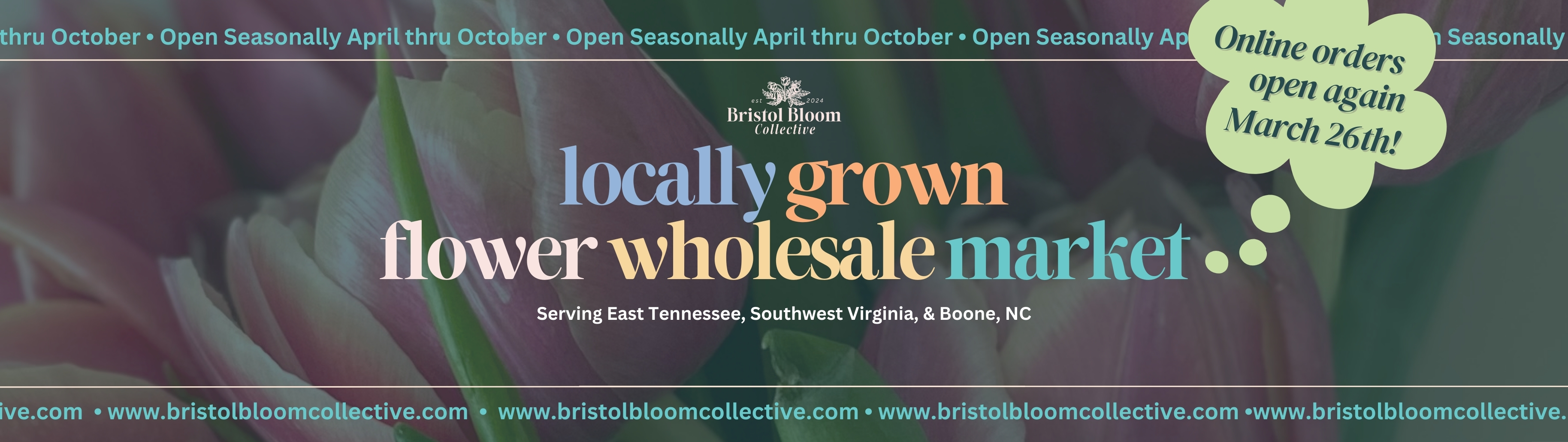 Bristol Bloom Collective Banner