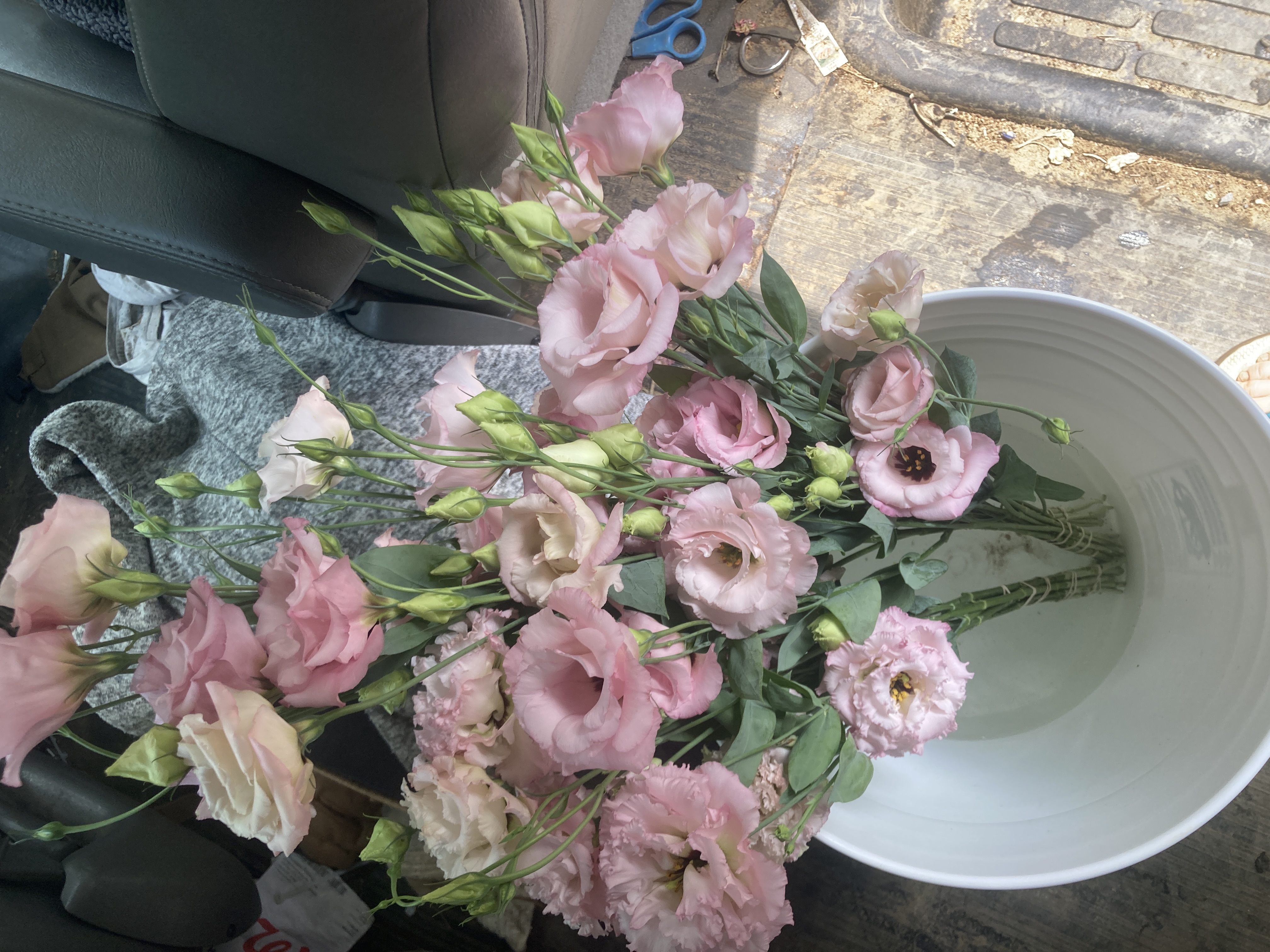 Mixed lisianthus bucket