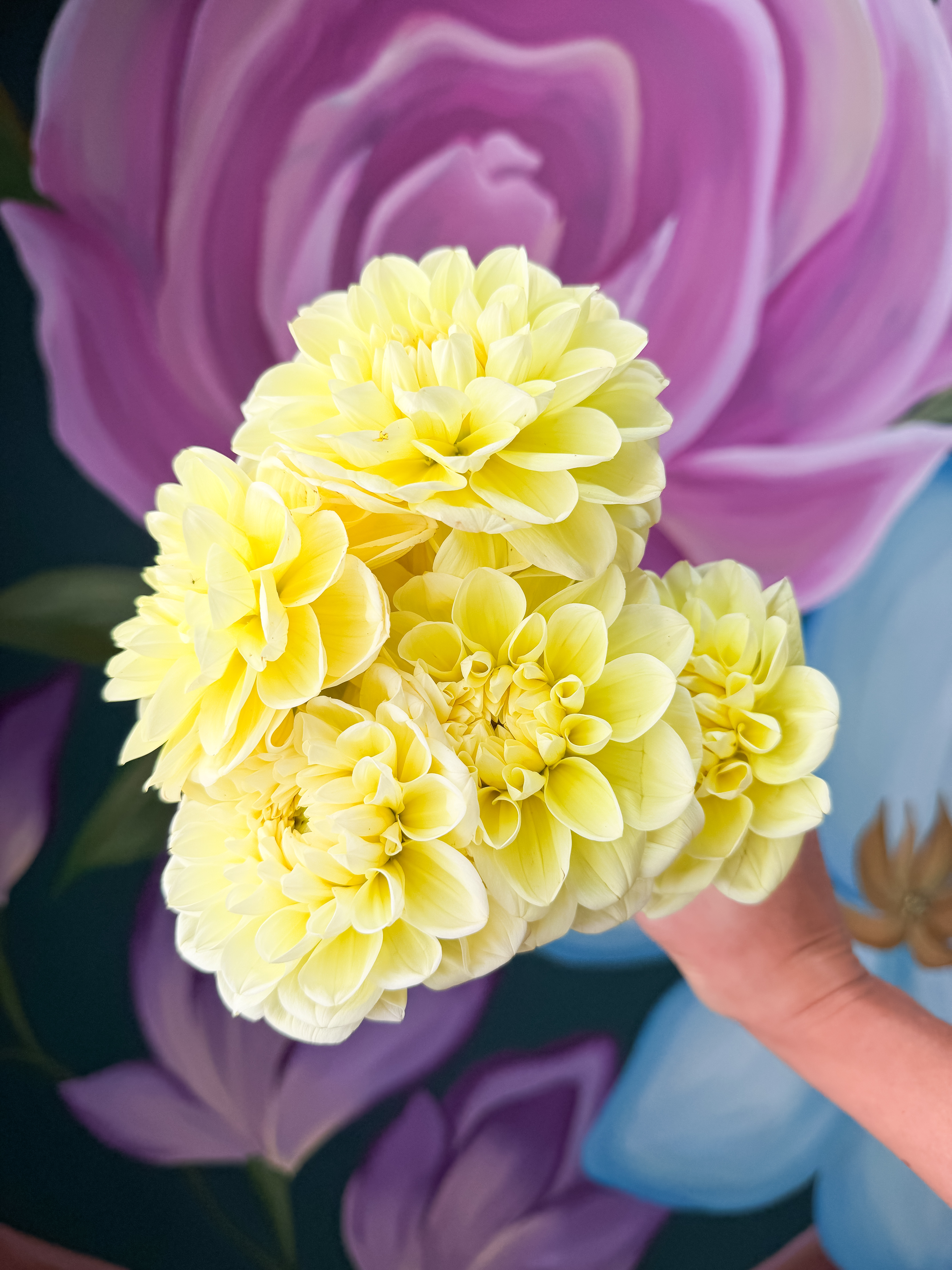 DAHLIA Decorative