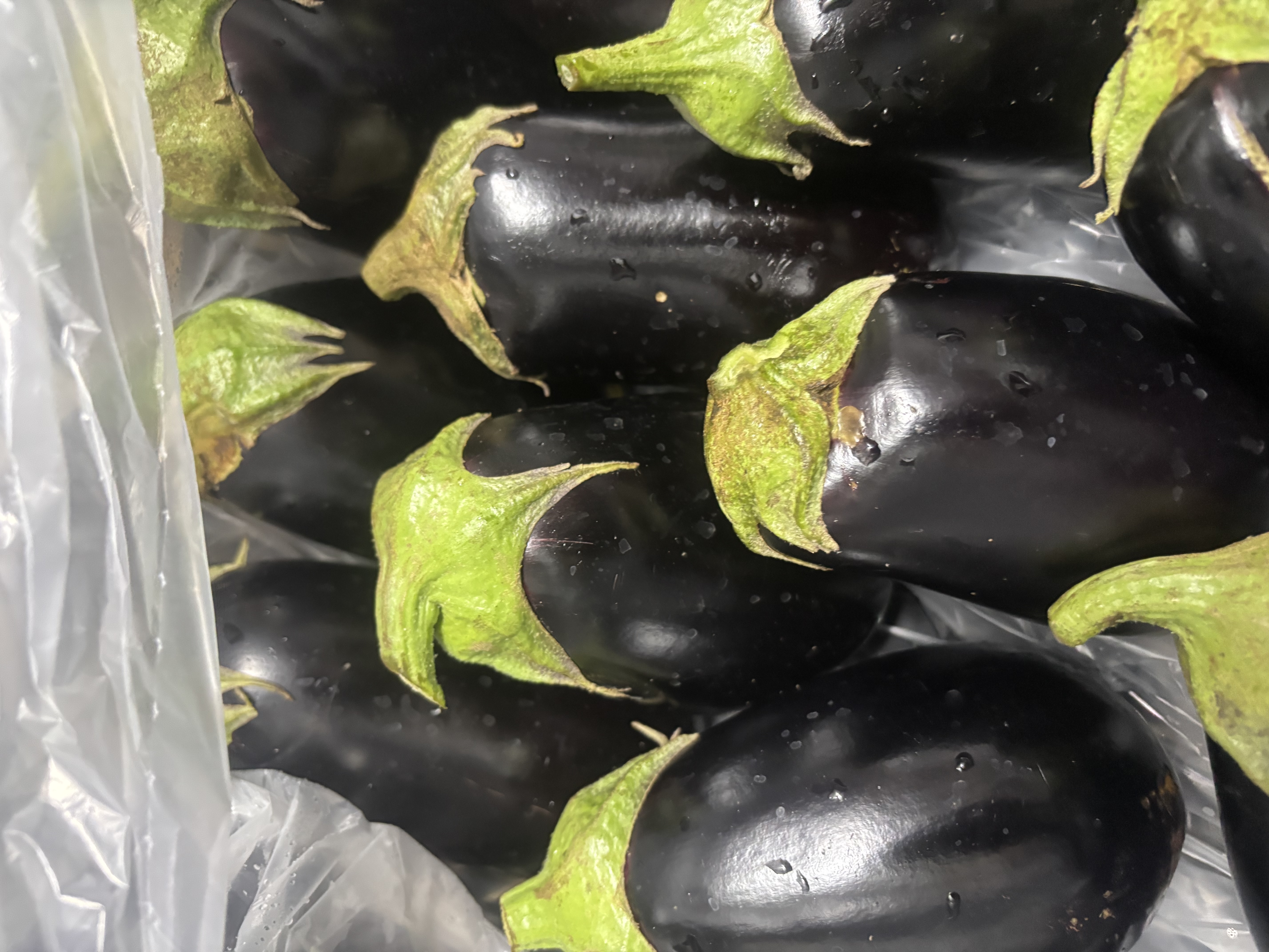 Organic Eggplant, Italian