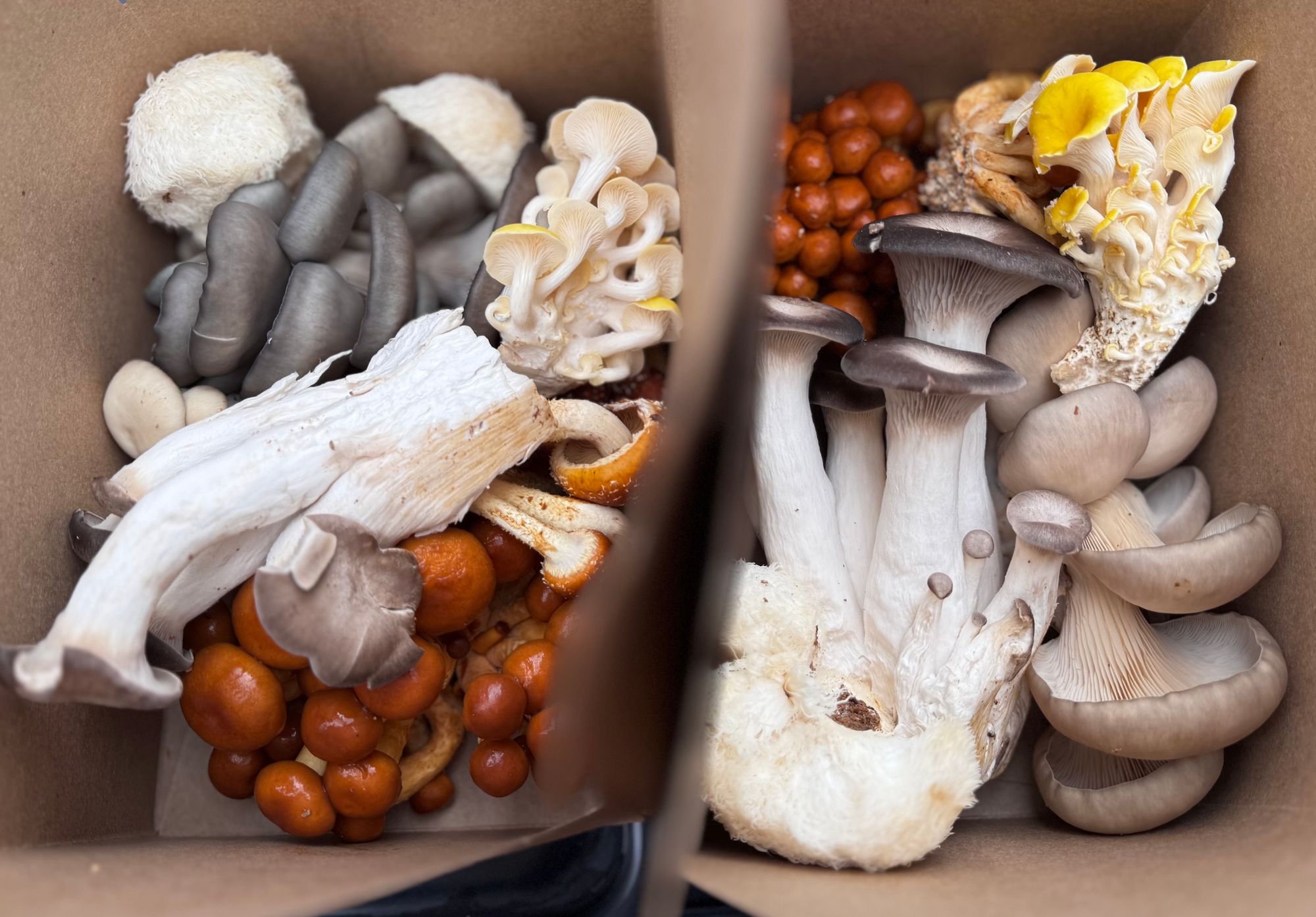 One lb seasonal sampling box to experiment with.