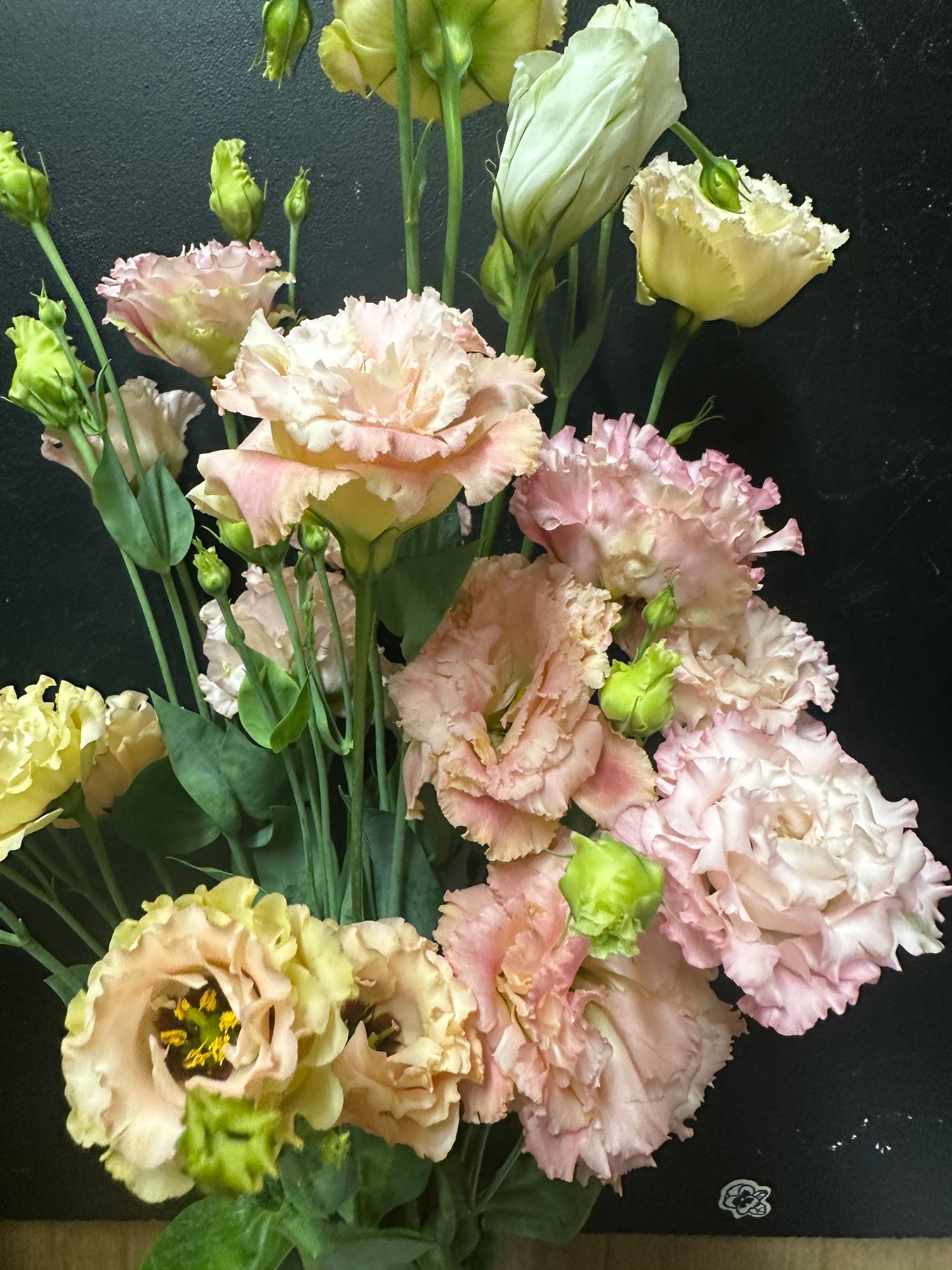 EUSTOMA grandiflorum