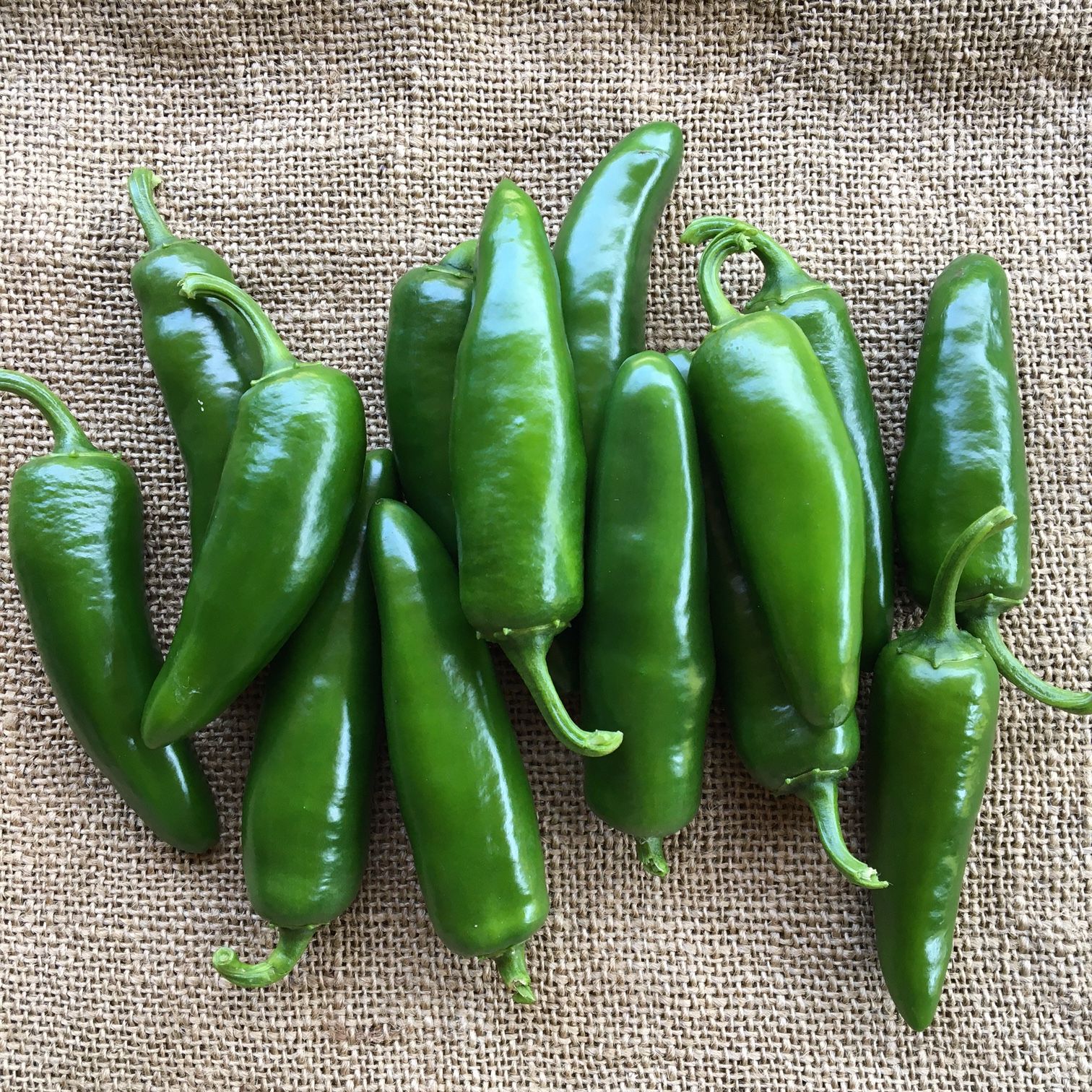 Pepper, Hot, Jalapeño