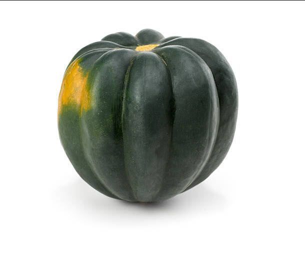 Cucurbit: Squash, Acorn
