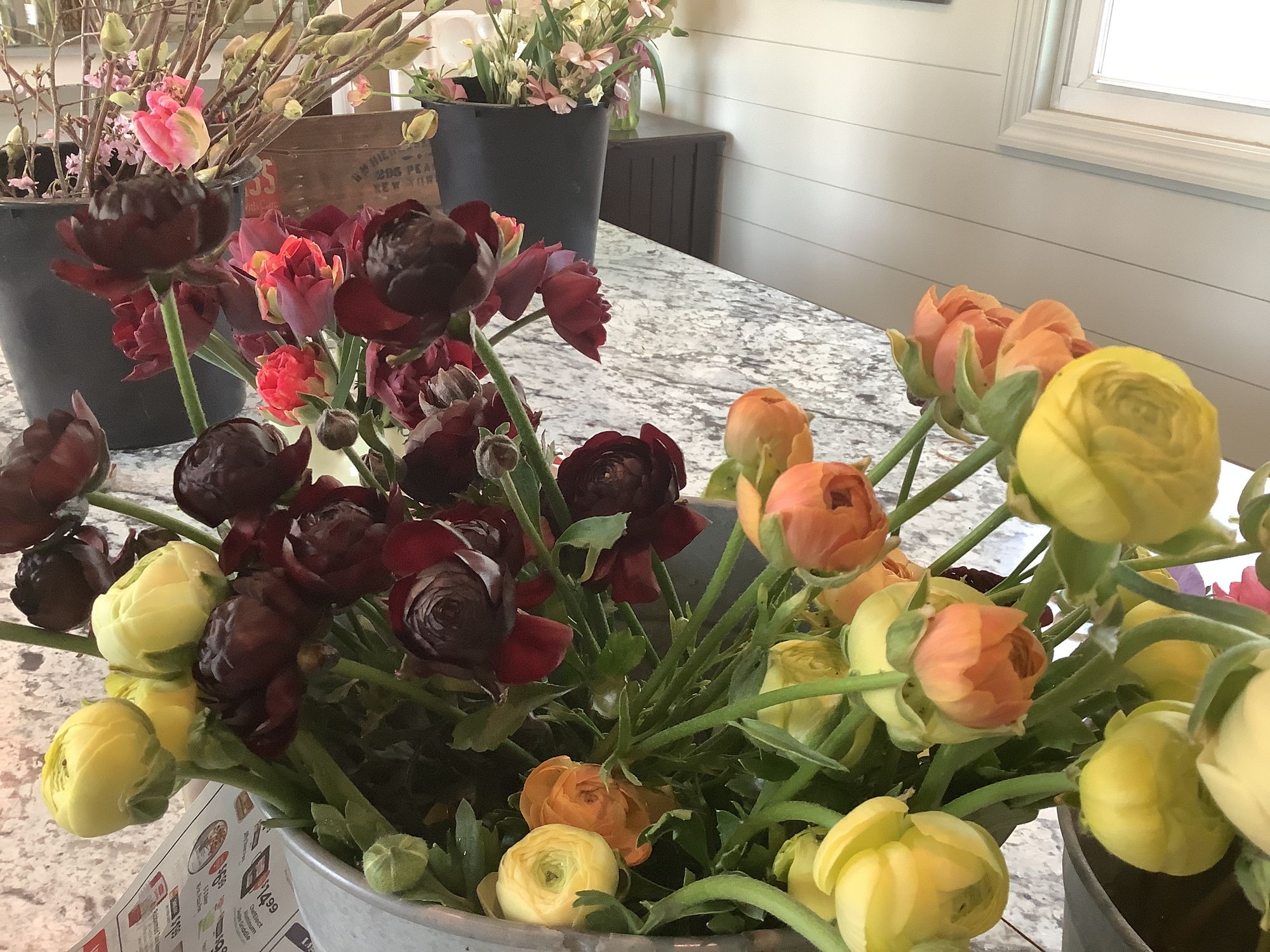 RANUNCULUS