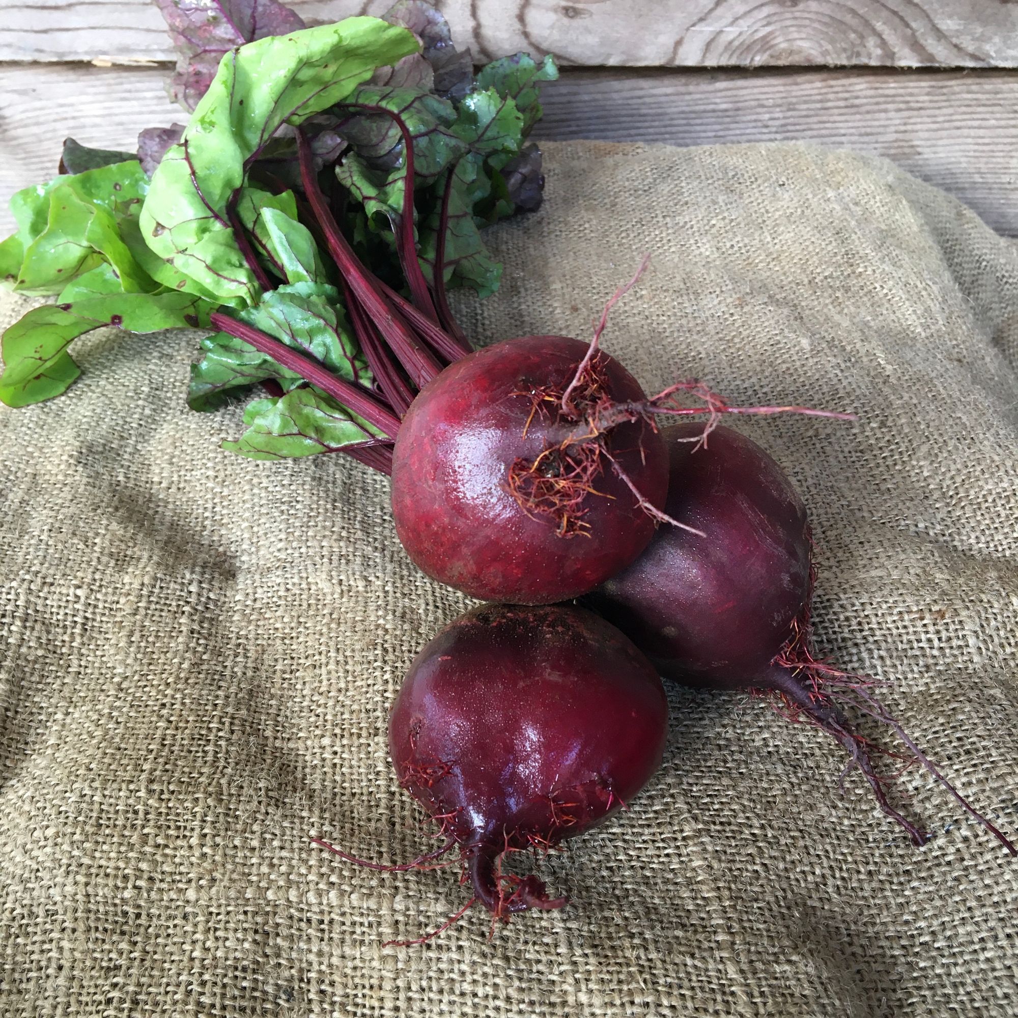 Beets, Red