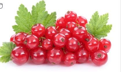 Fruits: Currants, Red