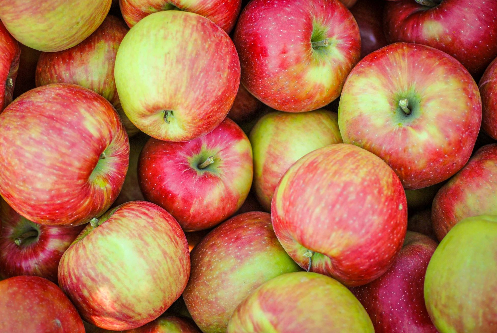 Fruits: Apples, Honeycrisp