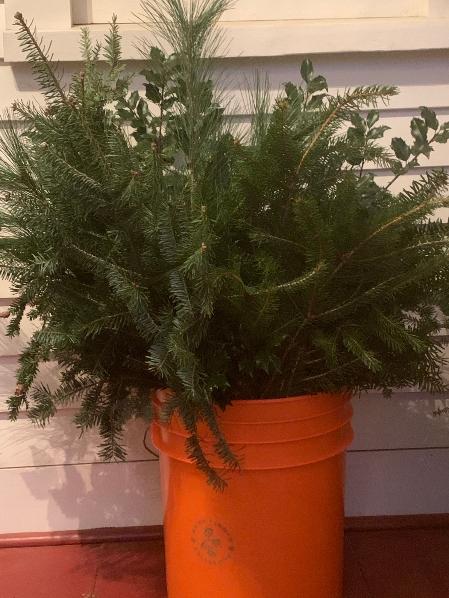 Mixed evergreen foliage bucket