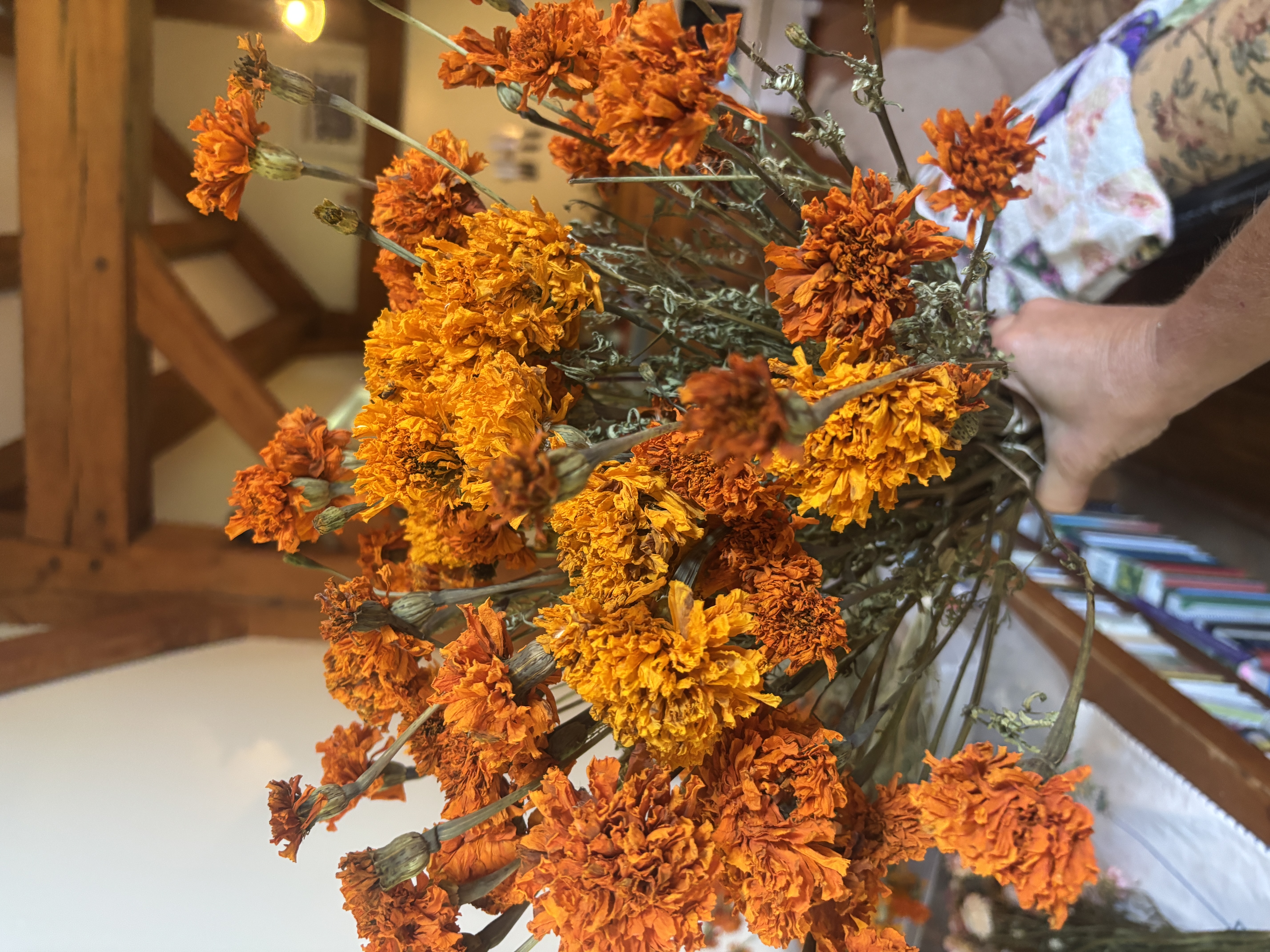 TAGETES erecta Giant Orange