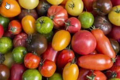 Nightshade: Tomato, Cherry Assorted 3# clamshell