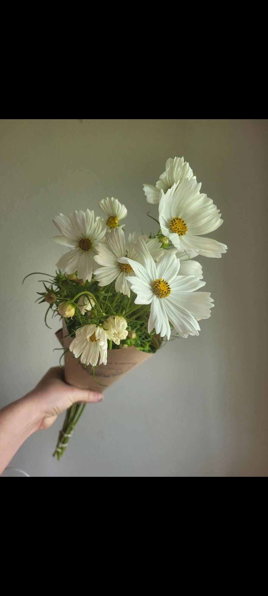 COSMOS