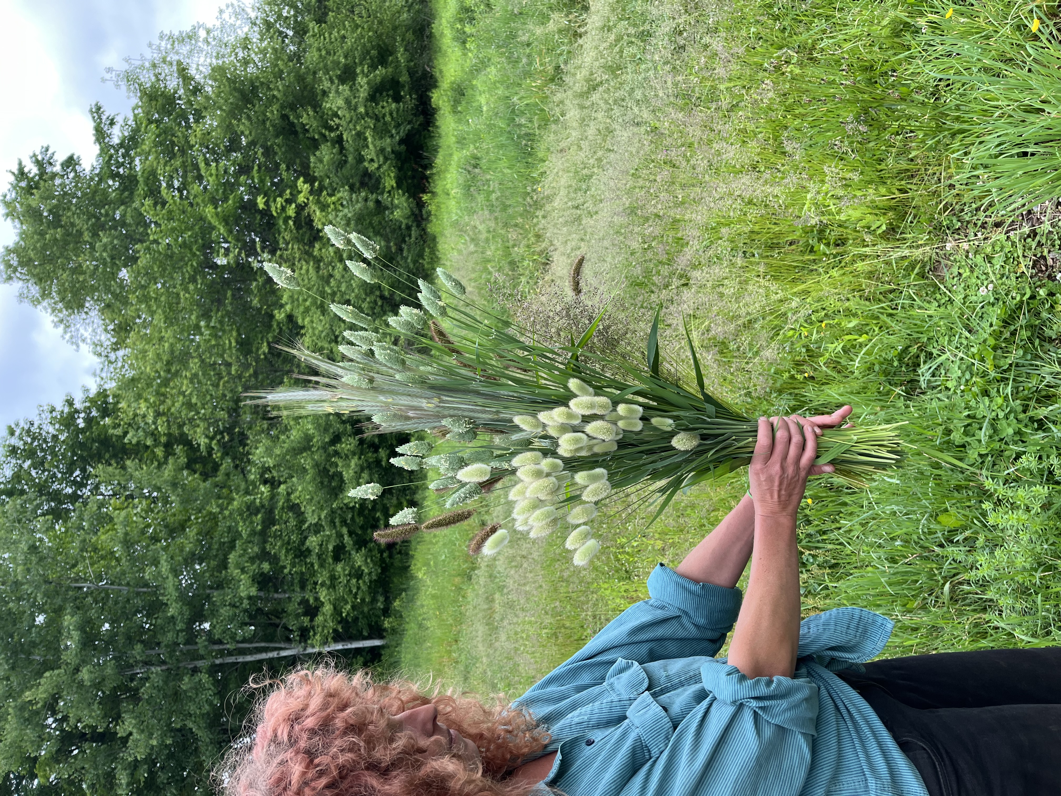 ORNAMENTAL GRASS