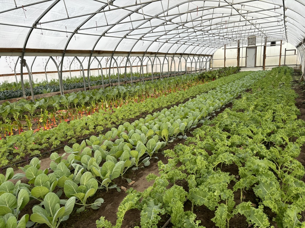 Gray Farms Banner