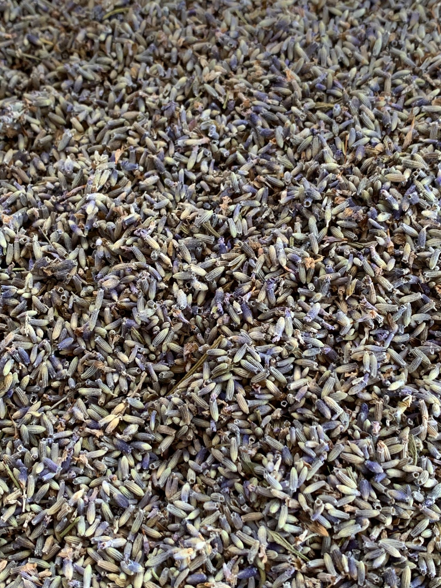 Lavender -dried - bulk