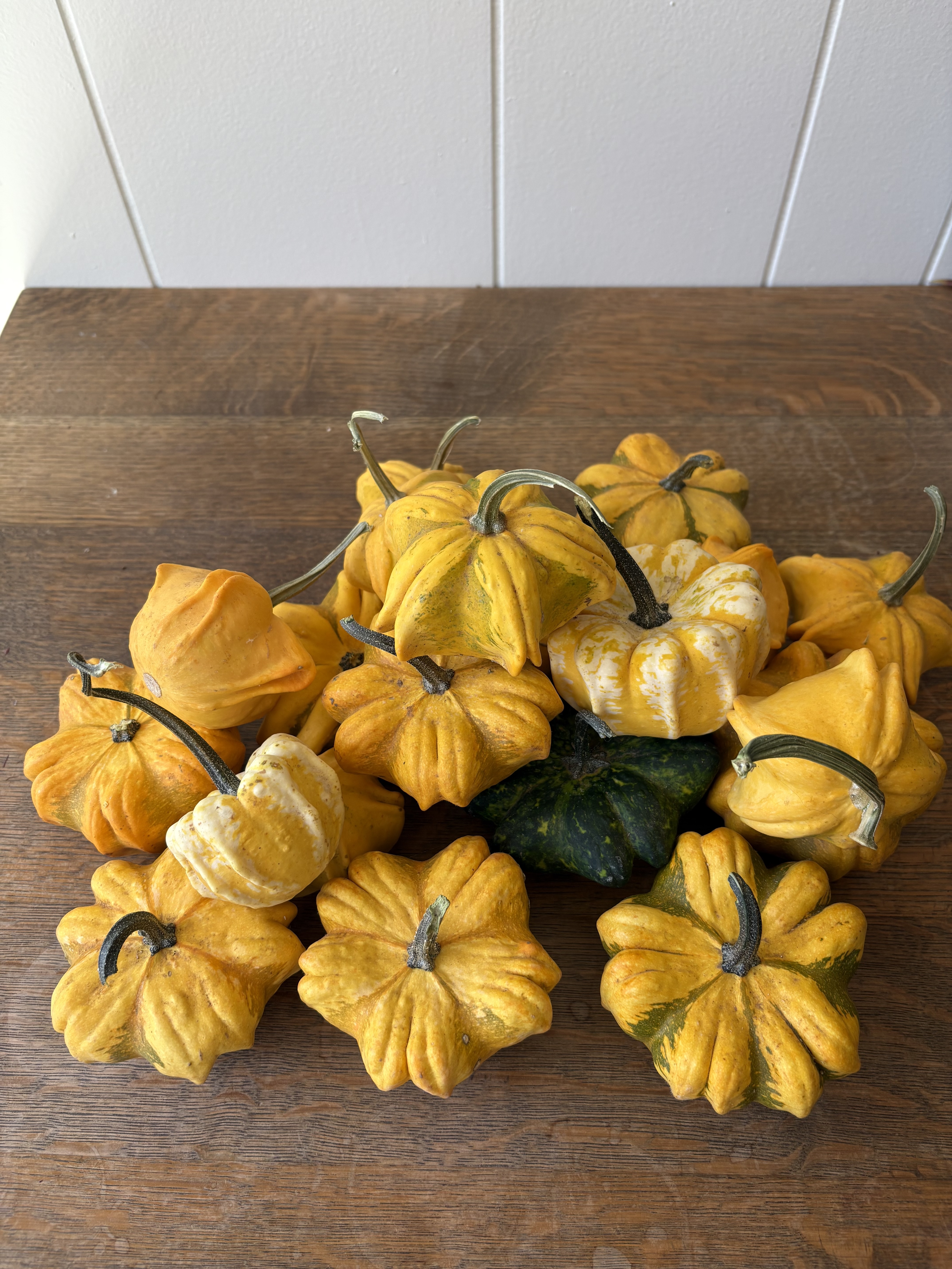 CUCURBITA