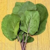 Kohlrabi Greens, Purple